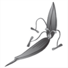 0200qnf9-cf7d-278x277.png