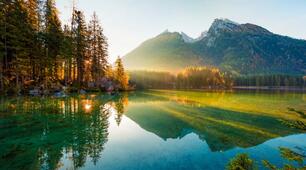 The natural world