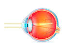 0200qq2z-589a-143x95.jpg