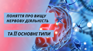 презентація з біології на тему "Поняття про вищу нервову діяльність та її основні типи"