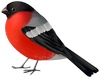 0200qqk4-f843-100x78.png
