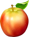 0200qqo6-7ce7-100x127.png