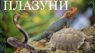 Картки для закріплення лексичної теми "Плазуни"