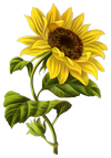 0200qray-c94d-100x143.png