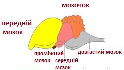 0200qsb9-1c08-250x142.jpg