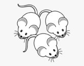 0200qsuh-d19d-165x130.png