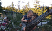 На Харківщині до дитсадка відмовились приймати хлопчика з епілепсією 