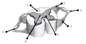 0200qu0e-14bb-281x145.png