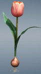 0200qu1b-0389-82x148.png
