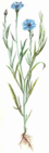 0200qu2q-47f8-45x141.png