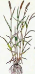 0200qu2u-9572-72x151.png