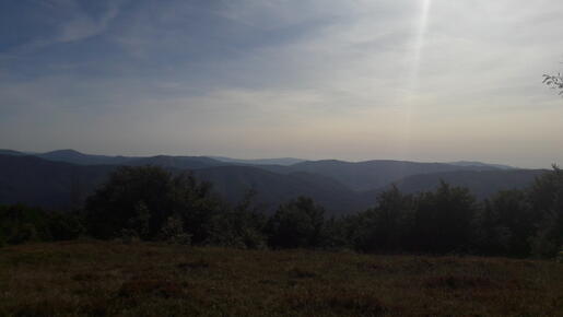 0200qul4-0975-515x290.jpg