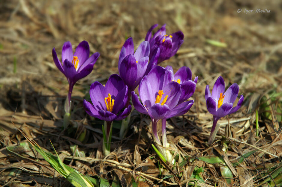 0200qupi-114d-940x625.jpg