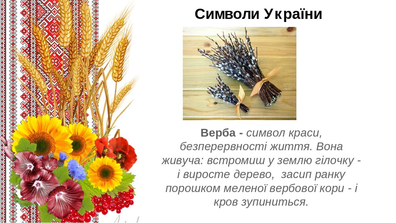 "Без верби і калини нема України" | Презентація. Виховна робота