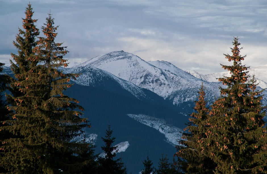 0200r0ar-bb1c-940x612.jpg
