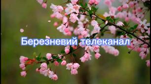 Сценарій відео-привітання з 8 березня "Березневий телеканал"