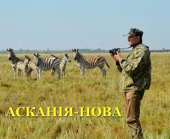 Херсонські аудитори дослідили ефективність витрачання коштів у біосферному  заповіднику «Асканія-Нова» — Мост - Новости