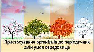 Пристосування організмів до періодичних змін умов середовища
