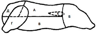 0200r36b-d043-463x167.png