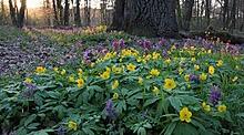 Квітень