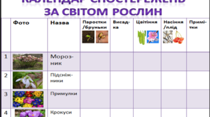 Календар спостережень за світом рослин для дошкільнят (STREAM-освіта)