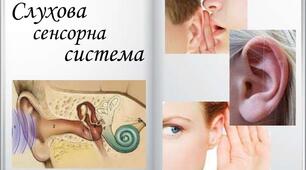 8 клас 