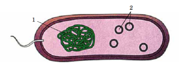 0200r7p5-6ed1-568x204.png