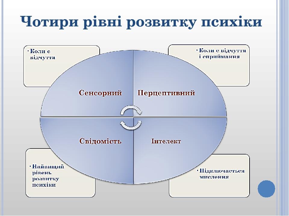 Чотири рівні розвитку психіки