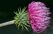 0200r8vo-aae5-220x141.jpg