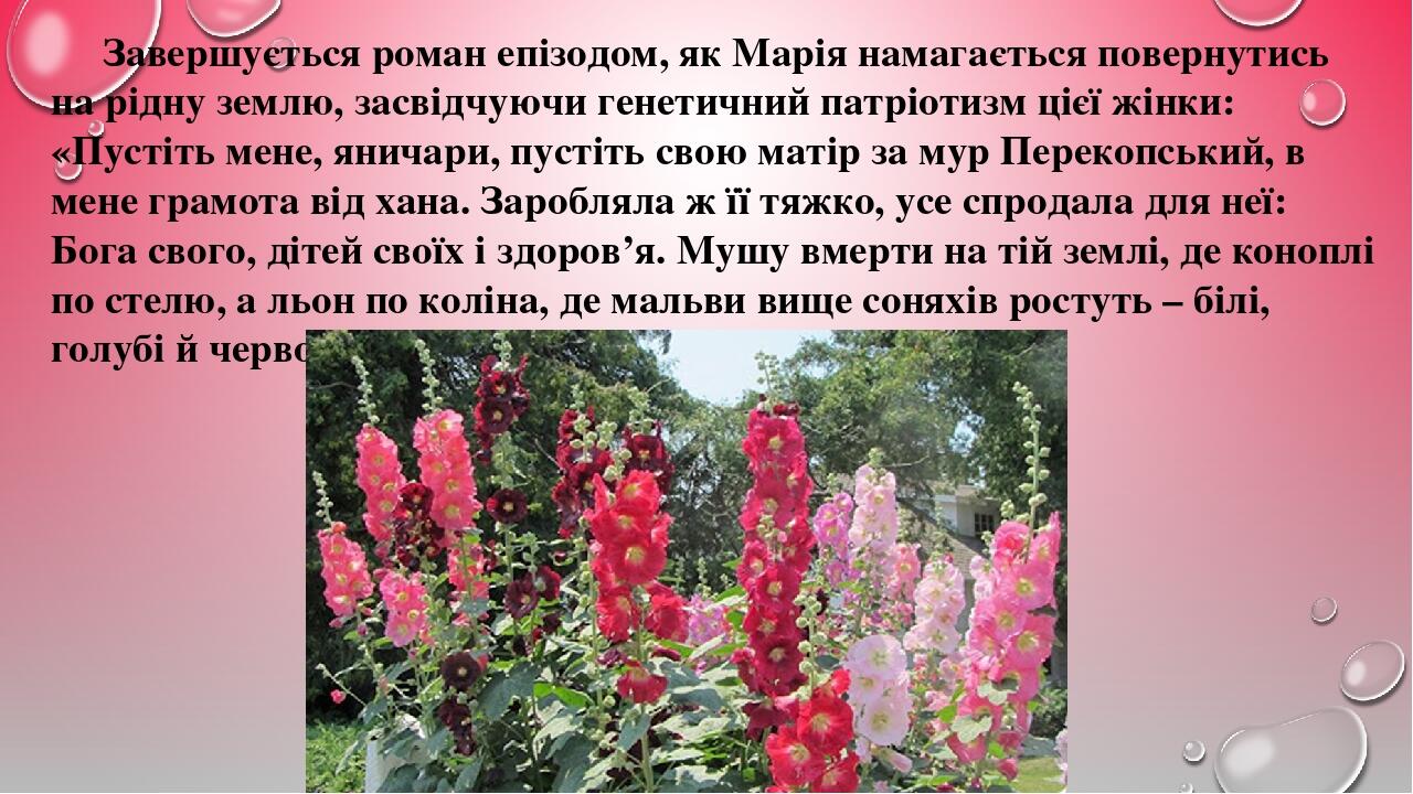 Завершується роман епізодом, як Марія намагається повернутись на рідну землю, засвідчуючи генетичний патріотизм цієї жінки: «Пустіть мене, яничари,...
