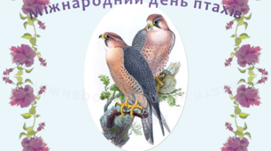 Постер "1 квітня - Міжнародний день птахів"