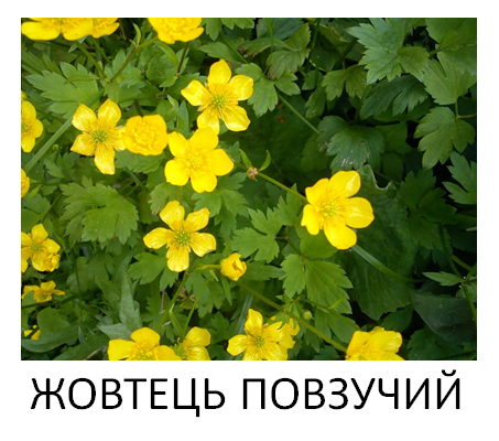 0200rb45-f3cb-453x400.png
