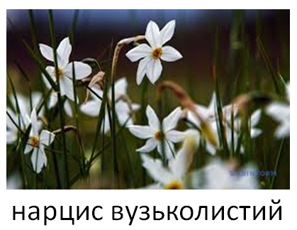 0200rb4r-7c8f-419x324.png