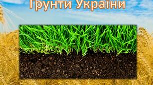 Ґрунти України