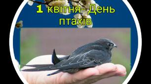 Емблема до свята птахів