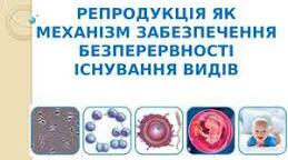 Репродукція як механізм забезпечення безперервності існування видів. 