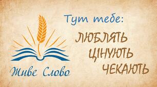 Математичні побажання  у рік математики