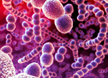 0200ri8j-1033-218x158.png