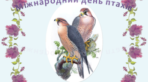 Підготовка до акції "1 квітня-Міжнародний день птахів" -виготовлення ластівки