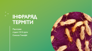 Презентація на тему "Інфраряд терміти"
