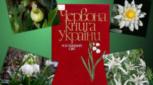 Рослини занесені до Червоної книги