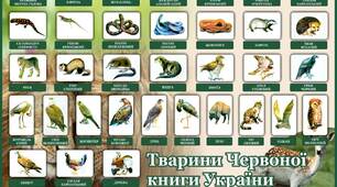 Тварини занесені до Червоної книги
