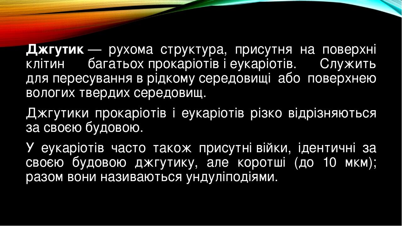 Prezentaciya Na Temu Porivnyannya Budovi Dzhgutikiv Eukariotiv I Prokariotiv Ta Osoblivostej Yihnogo Funkcionuvannya