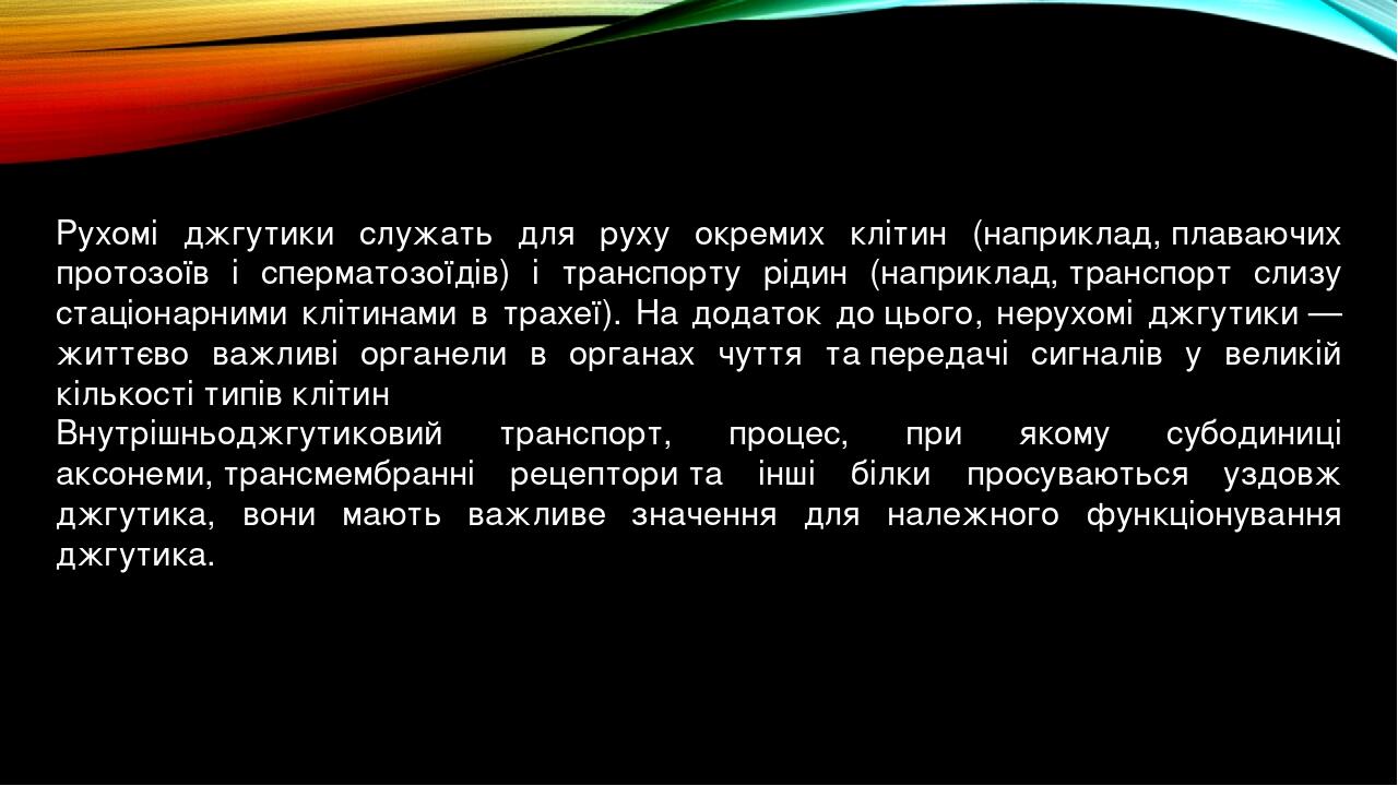 Prezentaciya Na Temu Porivnyannya Budovi Dzhgutikiv Eukariotiv I Prokariotiv Ta Osoblivostej Yihnogo Funkcionuvannya