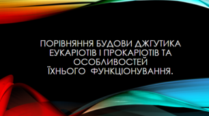 Презентація на тему "Порівняння будови джгутиків еукаріотів і прокаріотів та особливостей їхнього функціонування"