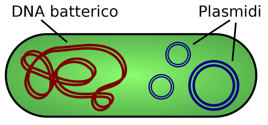 0200rq2p-ac08-940x441.png