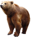 0200rr90-6316-105x127.png
