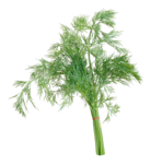 0200rrij-7524-138x152.png