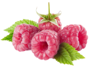 0200rriz-7c85-181x136.png