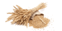 0200rsf7-9709-408x205.png